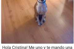 IMG_20210222_205123_924