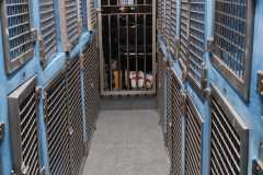 IMG-20200812-WA0028